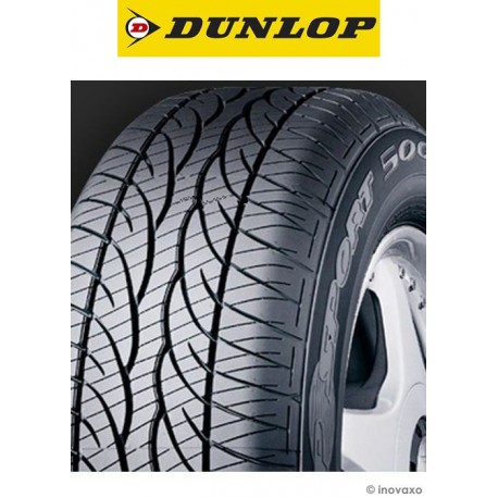 Pneu TOURISME HIVER DUNLOP WINT SPORT 5 : 225/55r16 95 H